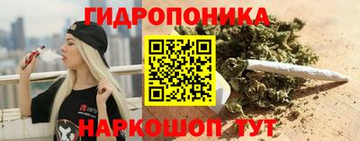 ECSTASY Пенза