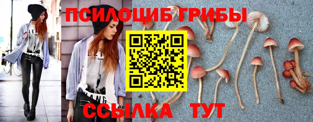 Славянск-на-Кубани  Псилоцибиновые грибы Psilocybine cubensis  Вход с VPN  Галлюциногенные грибы мицелий 