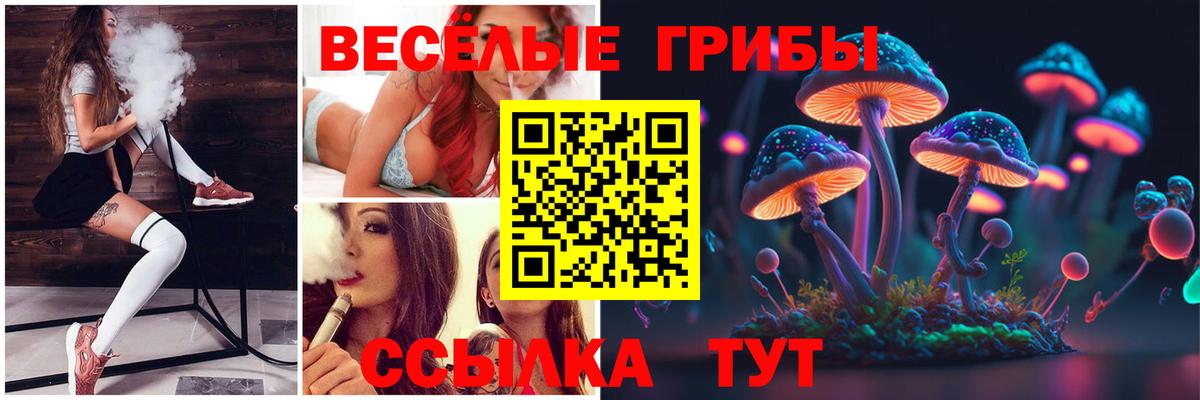 Галлюциногенные грибы ЛСД Славянск-на-Кубани